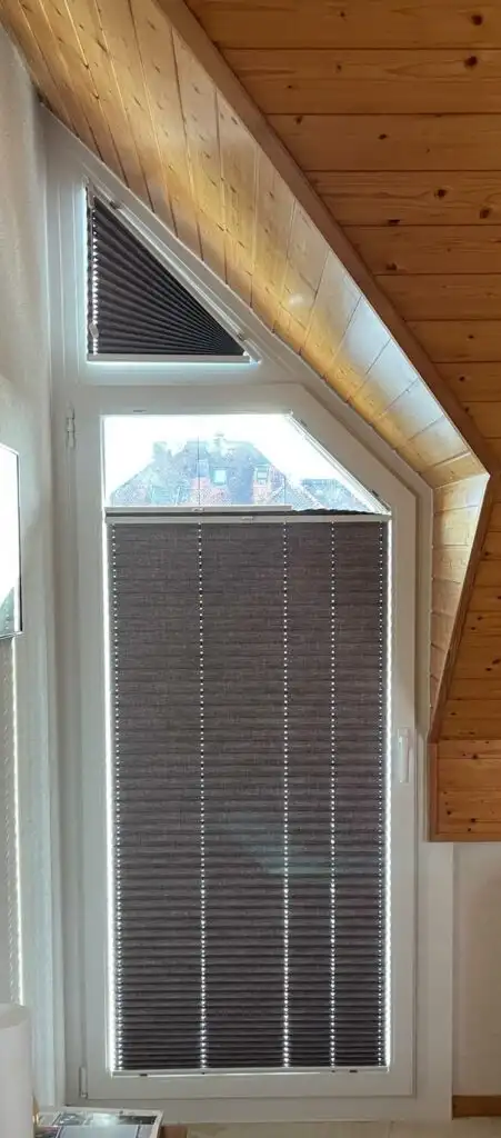 5913e1bf 7ca3 46a2 9dac 4e5249d73b5b 451x1024