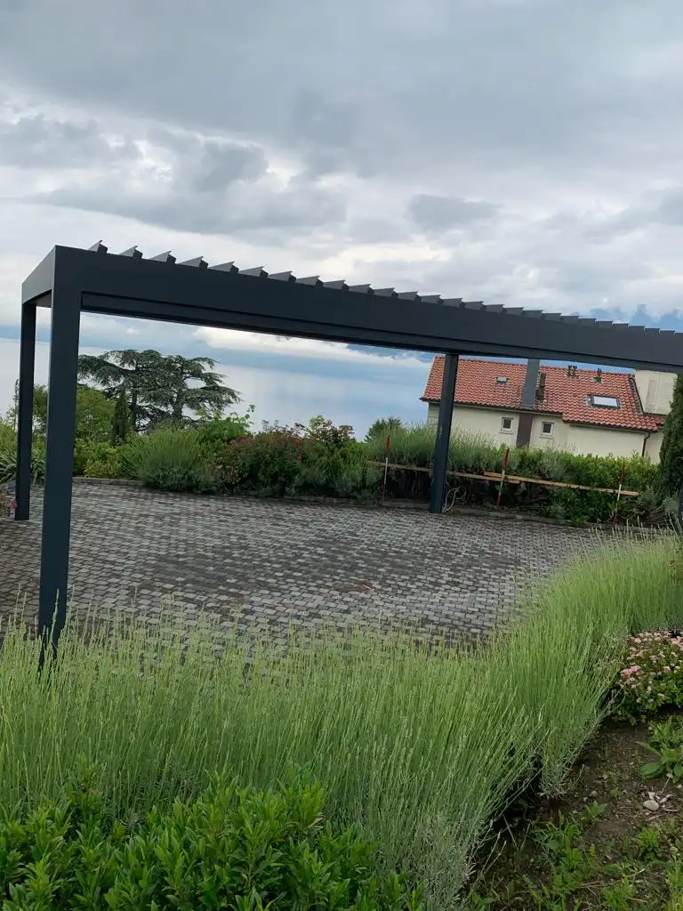 photo 2020 06 11 02 34 37 4