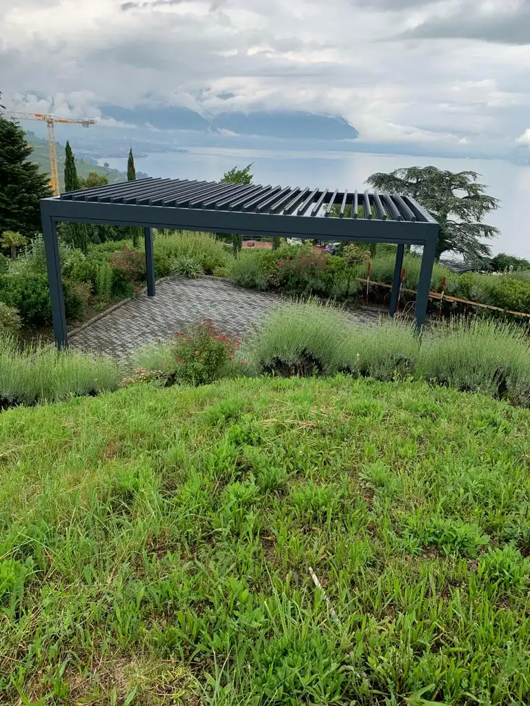 photo 2020 06 11 02 34 37 6