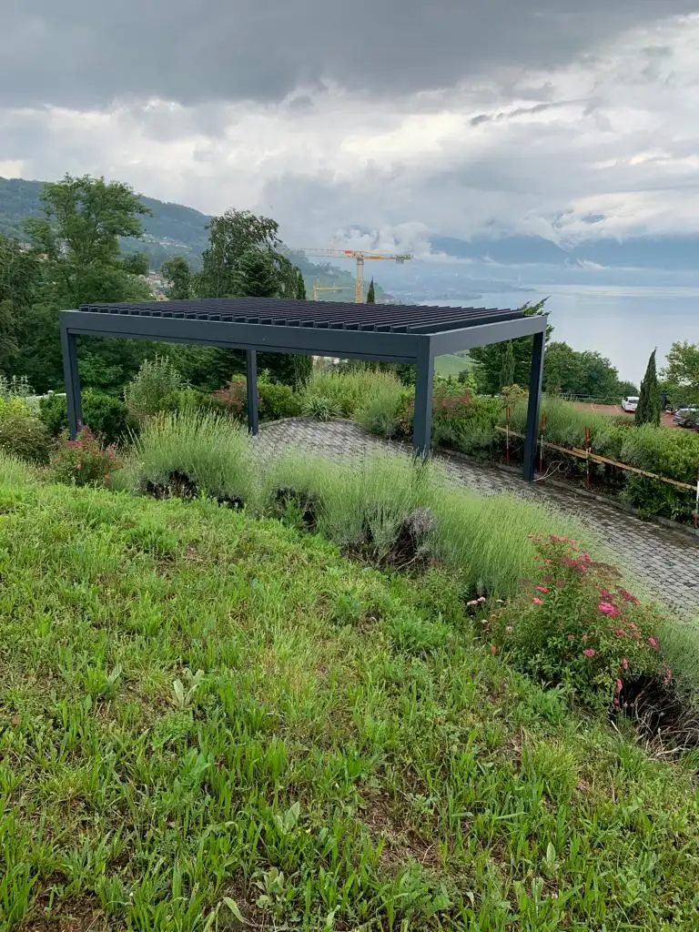 photo 2020 06 11 02 34 37 7