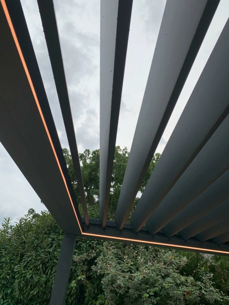 photo 2020 09 28 13 23 01 2 768x1024